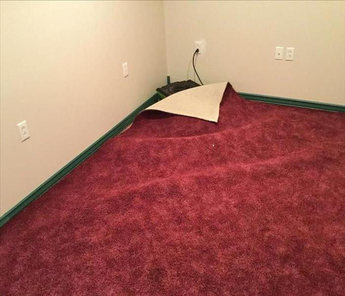 Red carpet that has been lifted to allow for drying of the subfloor